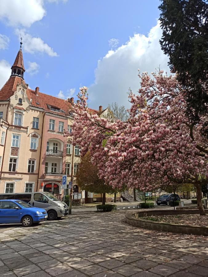 Apartament Rozeta Centrum 6Os Legnica Esterno foto